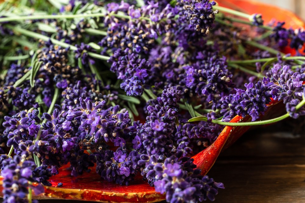 385ecee4b5423f913ad54219e13a7e571633943246